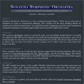 Sonatina symphonic orchestra sf2